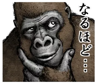 🤔 なるほど... gorila, animal, pensando, japonês telegram sticker