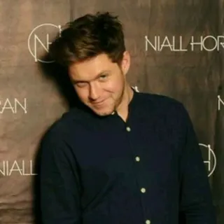 😏 Niall Horan Niall Horan, singer, One Direction, celebrity, pop star, musician telegram sticker