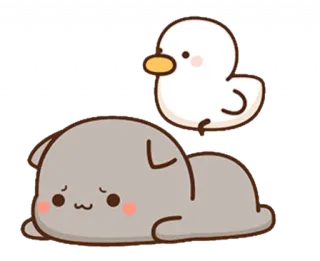 ☹️ canard, chat, mignon, dessin animé, animal, amitié whatsapp sticker