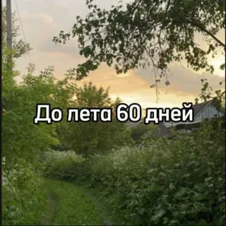 ☀️ До лета 60 дней verano, cuenta atrás, naturaleza, días para verano, paisaje, escenario telegram sticker