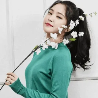 🦄 女性, 韓国, アジア, 緑セーター, 花, ポートレート telegram sticker