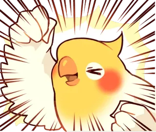 ✊ オカメインコ, 鳥, 動物, かわいい, カワイイ, ステッカー telegram sticker