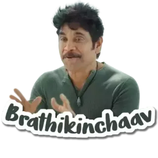 😳 Brathikinchaav telegram sticker