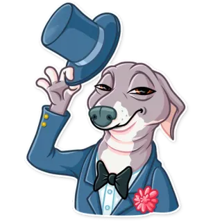 👋 สุนัข, หมวกทรงสูง, ทักซิโด้, หูกระต่าย, การ์ตูน, สัตว์ whatsapp sticker