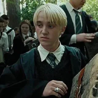 😐 Draco Malfoy Harry Potter Draco Malfoy, Harry Potter, Sonserina, mago, magia, escola telegram sticker