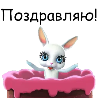 🎂 Поздравляю кролик, зайчик, торт, праздник, поздравления, приветствие whatsapp sticker