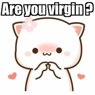 ⚜ Are you virgin? chat, question, mème, pêche, mignon, kawaii whatsapp sticker
