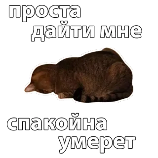 😖 проста дайти мне спокойна умерет cat, sad, russian, text whatsapp sticker