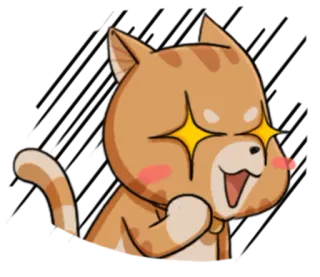 😳 Katze, Tier, fröhlich, funkelnde Augen, süß, aufgeregt telegram sticker