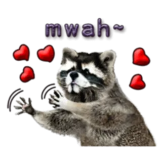 Naughty Raccoon (FULL) [English] @Woshizharbor telegram stickers