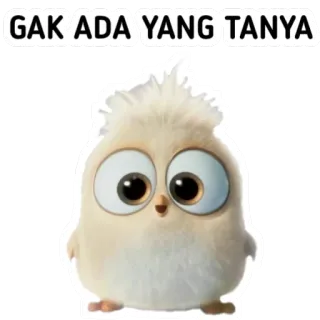 🙃 GAK ADA YANG TANYA pájaro, lindo, animal, meme, divertido telegram sticker