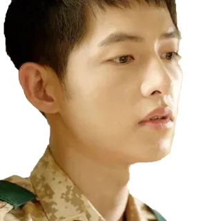 😔 pria, tentara, militer, seragam, orang, laki-laki whatsapp sticker