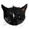 🐈⬛