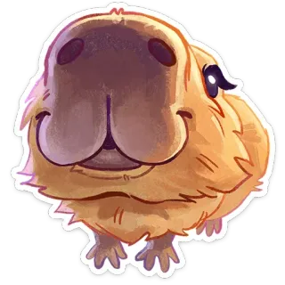 😳 Капибара, Животное, Грызун, Милый, Наклейка, Мультфильм telegram sticker