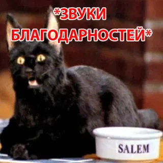 😃 Salem Sabrina the Teenage Witch *ЗВУКИ БЛАГОДАРНОСТЕЙ* 猫, セーレム, おしゃべり猫, 感謝, ロシア語テキスト telegram sticker
