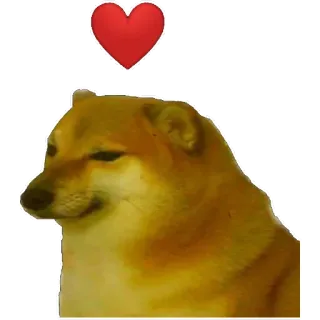 ♥️ Doge cane, carino, meme, amore, cuore telegram sticker