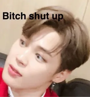 🤐 Bitch shut up meme, insult, expression, offensive, kpop, person telegram sticker