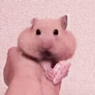 🤏 hamster, cute, animal, pet, rodent, funny telegram sticker