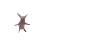 🕺 whatsapp sticker