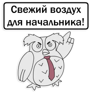 Сова - эффективный менеджер (Xander toons) telegram stickers