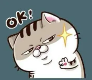 👍 ok! Katze, Aufkleber, Tier, niedlich, ok, Geste telegram sticker