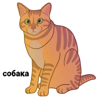 😕 собака кот, питомец, животное, собака, русский telegram sticker