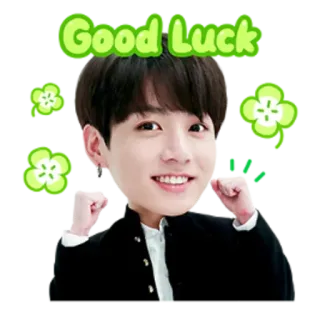✊ Good Luck Buona fortuna, Quadrifogli, Persona, Allegro telegram sticker