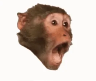 😱 khỉ, sốc, vượn, động vật, bất ngờ telegram sticker