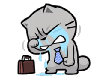 😢 Katze, weinen, traurig, Büro, Business, Tränen telegram sticker