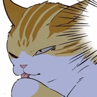 🐈 mèo, liếm, động vật, thú cưng, phim hoạt hình telegram sticker