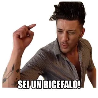 🐟 SEI UN BICEFALO! мужчина, жест, оскорбление, итальянский, двуглавый whatsapp sticker