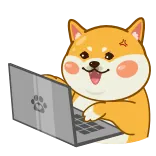 shiba @stickersb2b whatsapp stickers