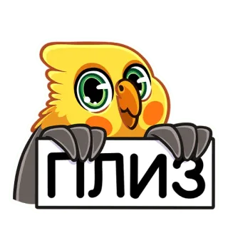 🥺 ПЛИЗ papagaio, pássaro, calopsita, implorando, pedido telegram sticker