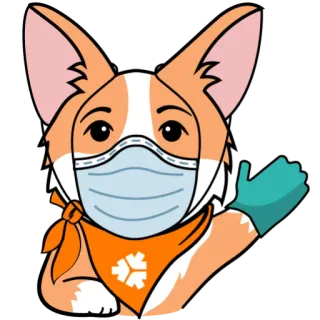 😷 corgi, cane, mascherina, pandemia, sicurezza, animale telegram sticker