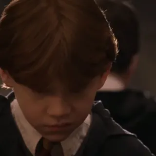 🦁 Ron Weasley Harry Potter ロン・ウィーズリー, ハリー・ポッター, 映画, 魔法使い, キャラクター telegram sticker