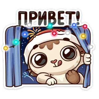 😋 ПРИВЕТ! Katze, Hallo, Winter, Süß, Gruß, Feiertag, Neujahr, Festlich telegram sticker