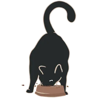 🍗 cat, eating, pet, food, animal, domestic whatsapp sticker