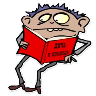 📖 Дичь в природе leitura, livro, desenho animado, vida selvagem, natureza, russo, educação whatsapp sticker