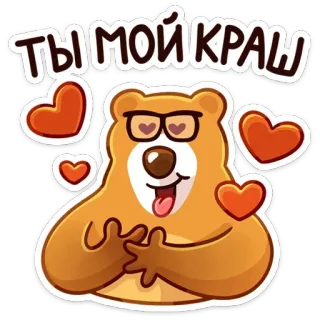 😍 Ты мой краш 곰, 하트, 사랑, 러시아, 귀여운 telegram sticker