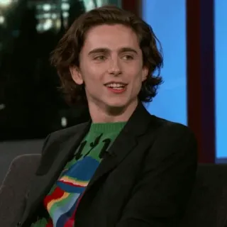 🥀 Timothée Chalamet diễn viên, người nổi tiếng, chân dung, Timothée Chalamet telegram sticker