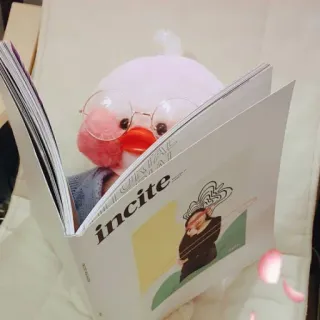 😐 incite canard, livre, lunettes, lecture, peluche, jouet telegram sticker