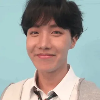 🍪 J-Hope K-pop, singer, celebrity, J-Hope, BTS, music, artist whatsapp sticker