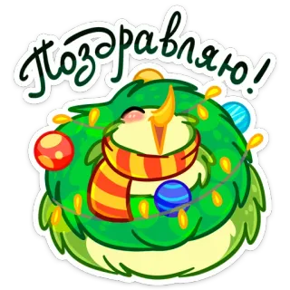 😱 Поздравляю! parabéns, desenho animado, animal, pássaro, cumprimentos, celebração telegram sticker