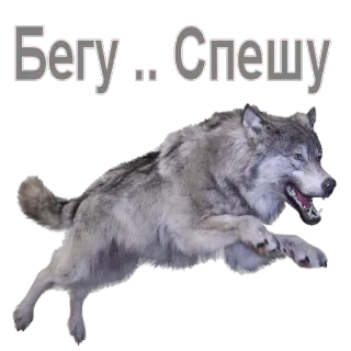 WolfGate telegram stickers