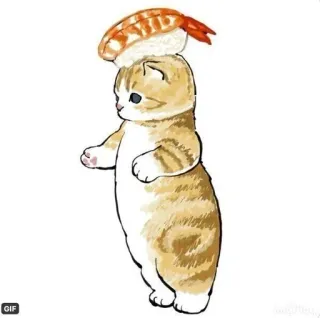 💗 kot, sushi, kotek, jedzenie, zwierzę, słodki, kreskówka telegram sticker