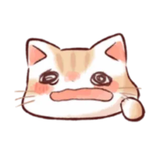 😩 кот, животное, милый, стикер, мем whatsapp sticker
