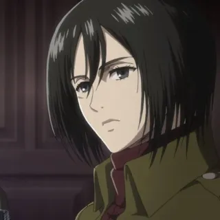 🗡 Mikasa Ackerman Attack on Titan anime, character, mikasa, attack on titan telegram sticker