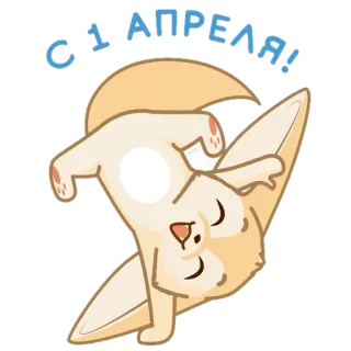 🦊 С 1 АПРЕЛЯ! primeiro de abril, gato, de cabeça para baixo, celebração, feriado, fofo, engraçado, animal telegram sticker