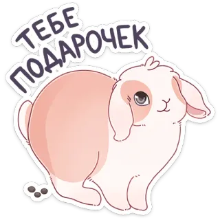 💩 ТЕБЕ ПОДАРОЧЕК coelho, fofo, animal, presente, lembrança, orelhas caídas whatsapp sticker