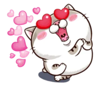 😍 cat, hearts, love, animal, cute telegram sticker